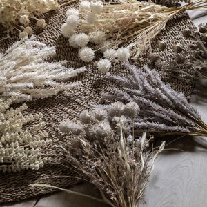 Gallery Direct Dry Look Echinops Bundle Moleskin | Shackletons