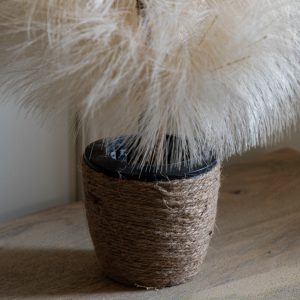 Gallery Direct Pampas Tree with LED Lights Cream | Shackletons