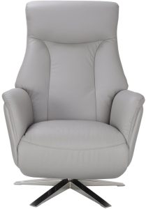 Global Furniture Alliance Houston Chair in Platinum Leather | Shackletons