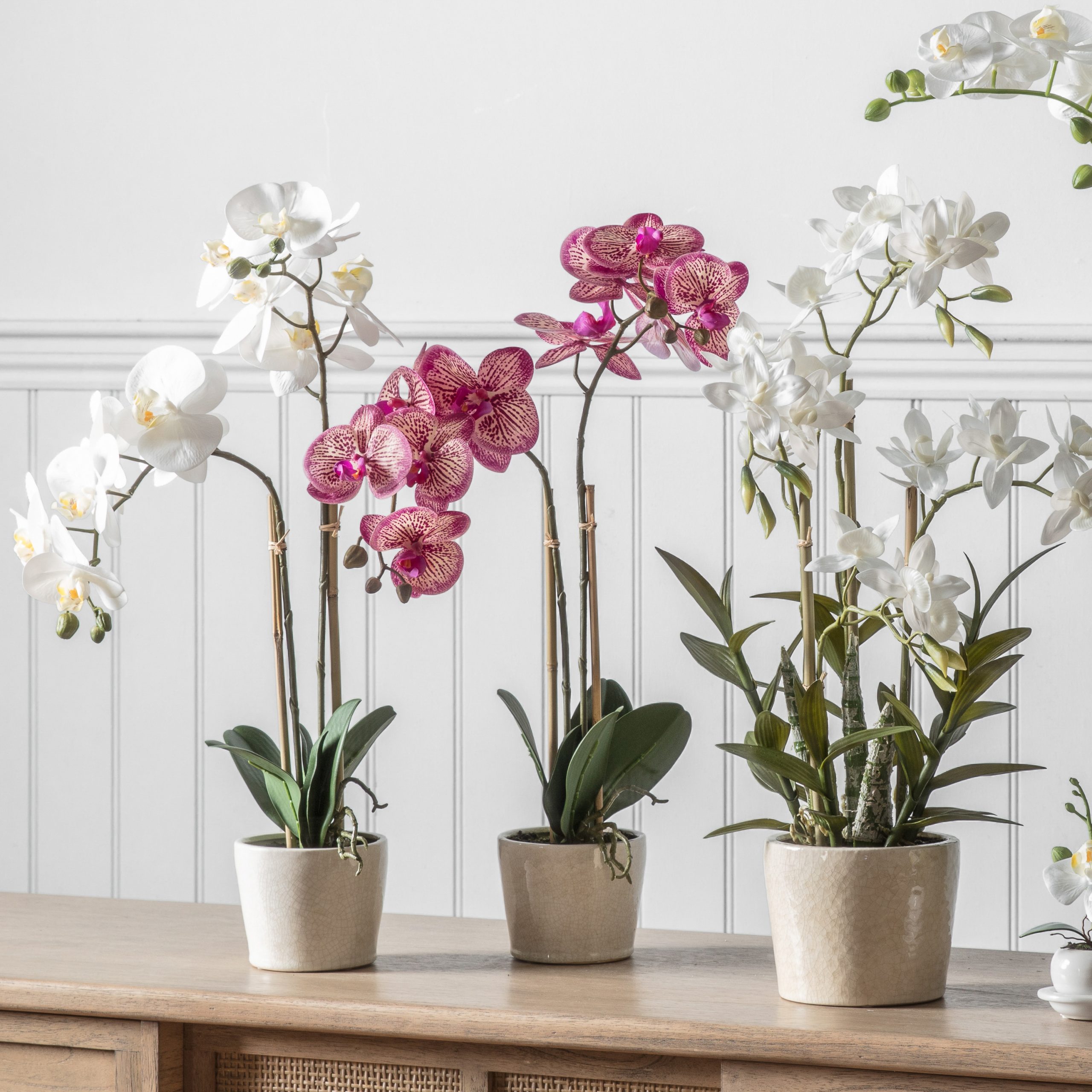 Gallery Direct Orchid Pink w/Ceramic Pot