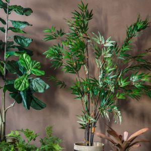 Gallery Direct Bamboo w9 Leaves | Shackletons