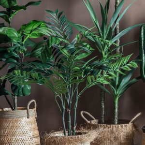 Gallery Direct Areca Palm Tree Small | Shackletons