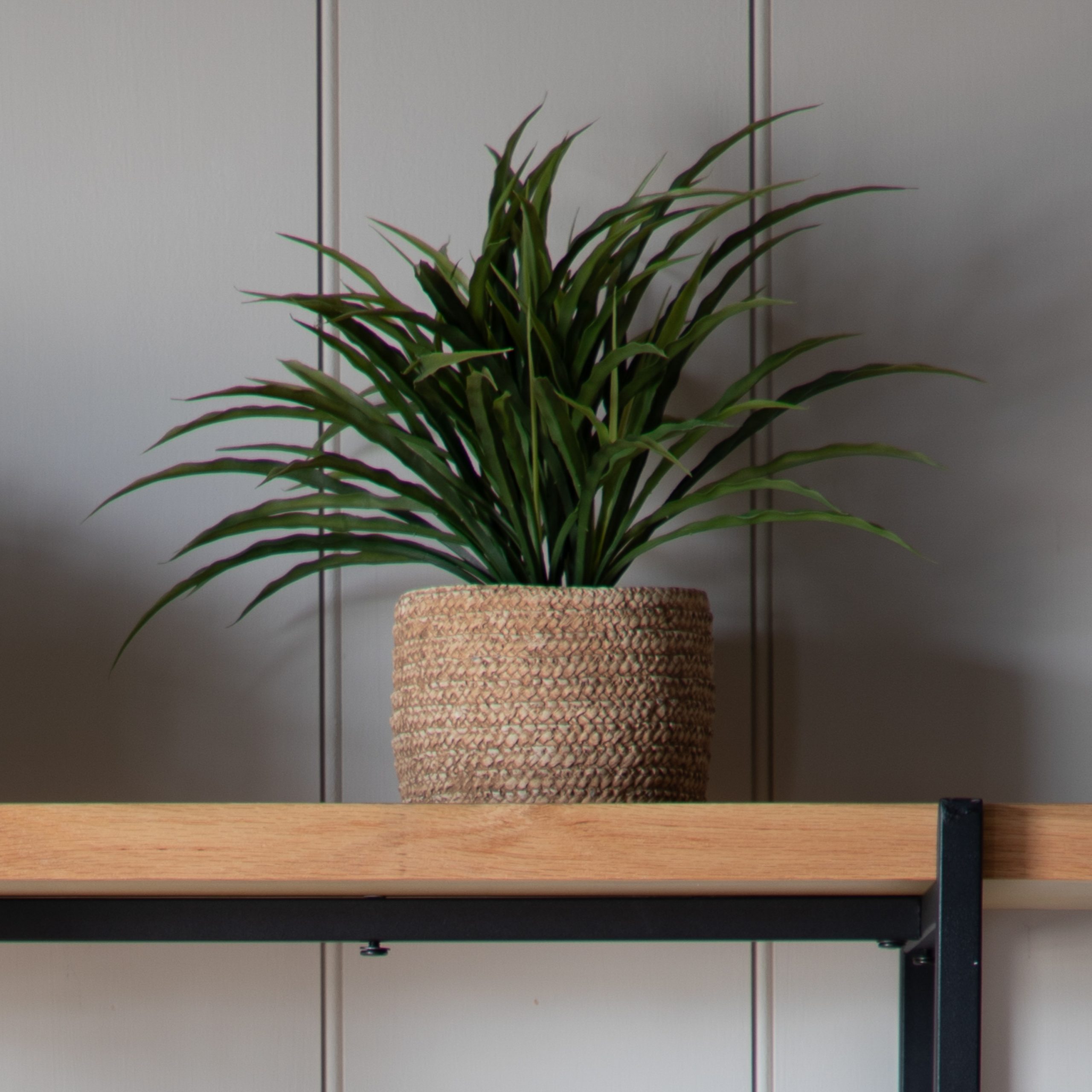 Gallery Direct Wild Grass in Soil Green