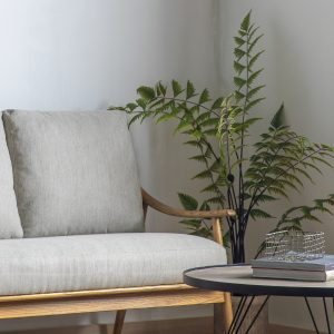 Gallery Direct Butterfly Fern | Shackletons