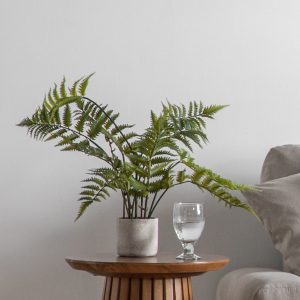 Gallery Direct Potted Fern in Cement Pot | Shackletons