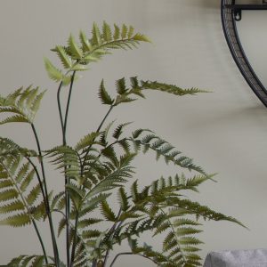 Gallery Direct Potted Fern in Cement Pot | Shackletons