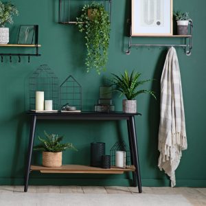Gallery Direct Potted Asplenium Fern | Shackletons
