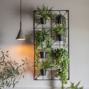 Gallery Direct Carlos Wall Planters  Black | Shackletons