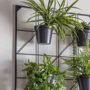 Gallery Direct Carlos Wall Planters  Black | Shackletons