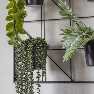Gallery Direct Carlos Wall Planters  Black | Shackletons